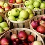 яблоки разных сортов  в Ростове-на-Дону