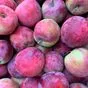 продаю яблоки сорт- Галла в Ростове-на-Дону и Ростовской области