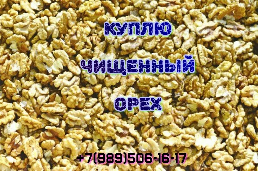грецкий орех чищенный закупаем в Новошахтинске