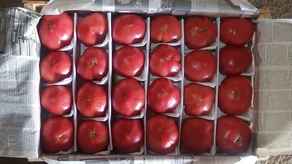 помидоры Пинк Парадайз в Ростове-на-Дону
