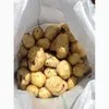 картофель мелкий  в Ростове-на-Дону