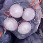 лук фиолетовый 20 руб в Ростове-на-Дону и Ростовской области