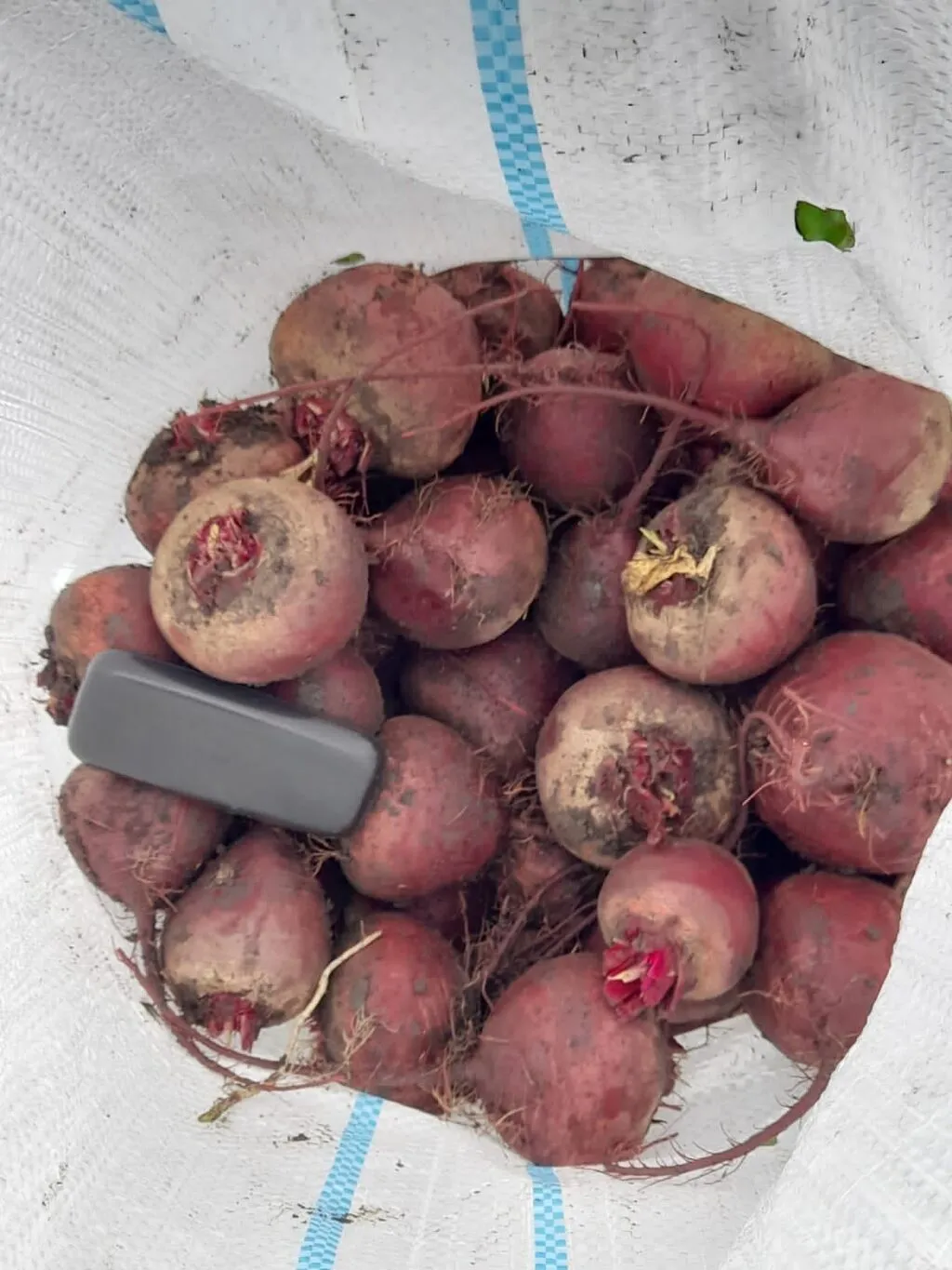 картофель нового урожая оптом в Ростове-на-Дону 3