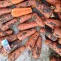 морковь крупная  оптом от 10 тонн в Ростове-на-Дону и Ростовской области
