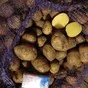 картофель продовольственный оптом в Ростове-на-Дону и Ростовской области