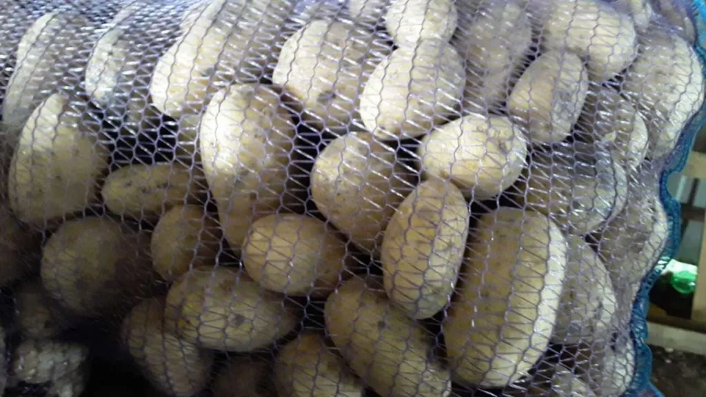 продаем картофель оптом в Ростове-на-Дону 2