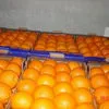 апельсин в Аксае