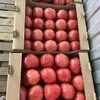 розовые помидоры оптом  в Ростове-на-Дону