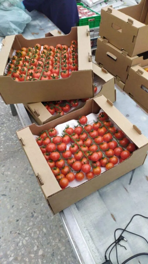 помидоры черри в Ростове-на-Дону 2