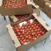 помидоры черри в Ростове-на-Дону 2