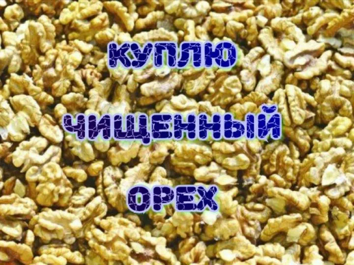 грецкие орехи в Ростове-на-Дону